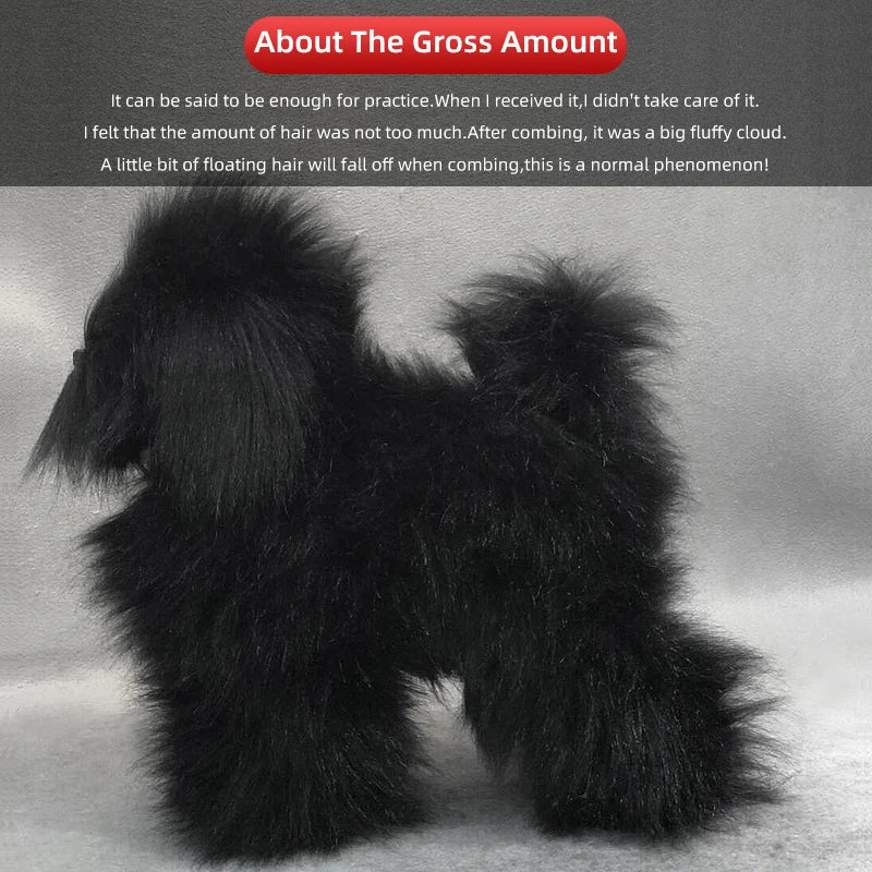 Professional pet grooming model dog for grooming practice dog standard skeleton model dog pet simulator model