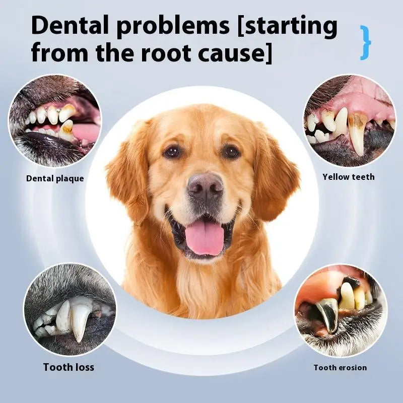 Dog Cat Grooming Smart Dental Ultrasonic Scaler Household Tooth Stone Remover Tooth CleanerTooth Oral Cleaning Tools