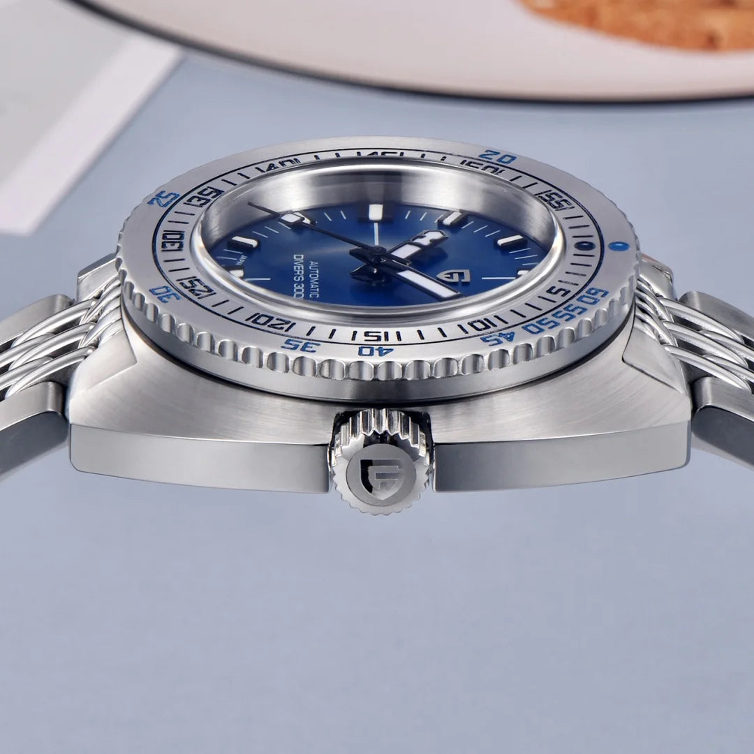 PAGANI DESIGN 2024 New .Men's Automatic Mechanical Divers Watches NH38 Sapphire Stainless Steel 300m Waterproof AR Watch for Men