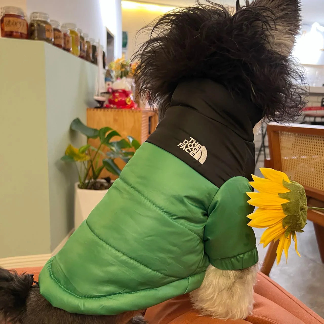 The Dog Face Winter Pet Dog Down Jacket Clothes for Small Medium Dogs Warm Thick White Duck Down Vest French Bulldog Puppy Coat