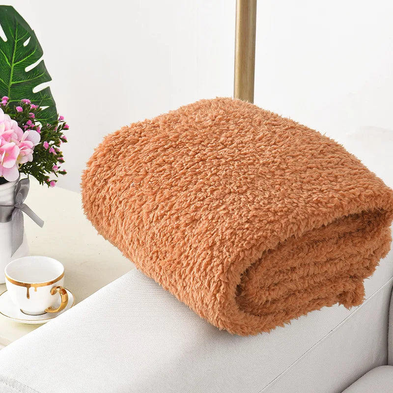 Soft Fluffy High Quality Pet Blanket Dog Blanket Pet Mat Warm Comfortable Blanket for Cat Dogs Blanket All-Season Couch Sofa