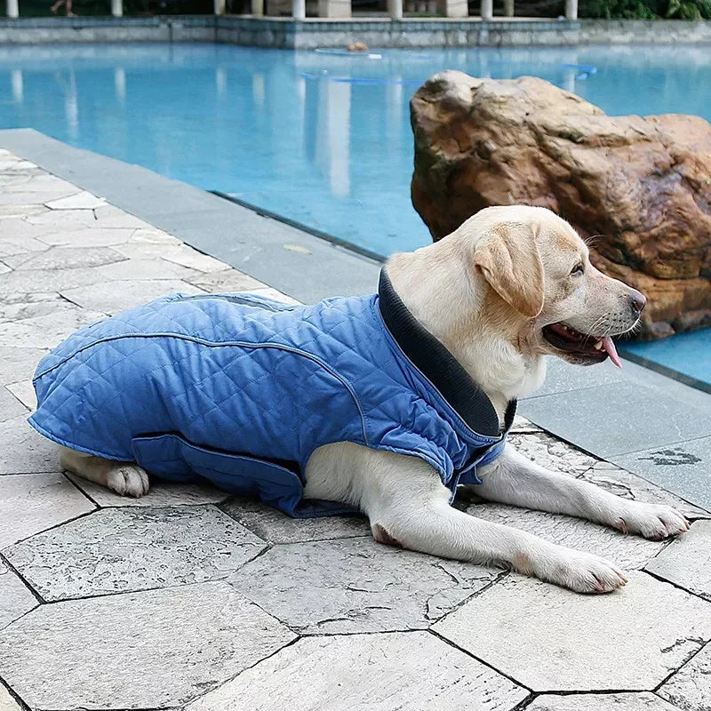 Pet Retro Thickened Warm Dog Clothes Fall and Winter Reflective Dog Jacket Undershirt Pet Sports Training Clothes