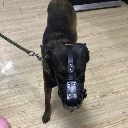 Leather Pet Dog Basket Muzzles German Shepherd Doberman Anti Bite Dog Mouth Cage Dog Training Defense Masks for Small/Large Dogs