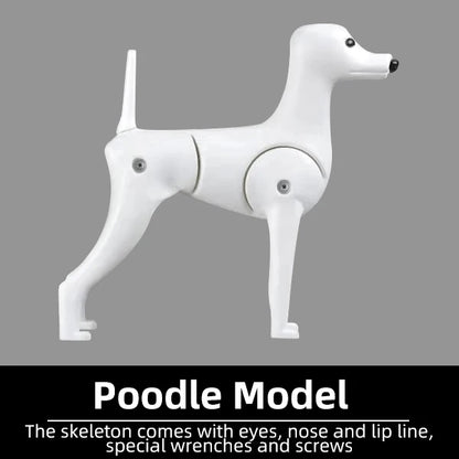Professional pet grooming model dog for grooming practice dog standard skeleton model dog pet simulator model