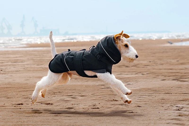 2025 New Pet Keeping Warm Clothes for Autumn Winter High Necked Dog Stormcoat With Reflective Tape Waterproof Dog Down Jacket