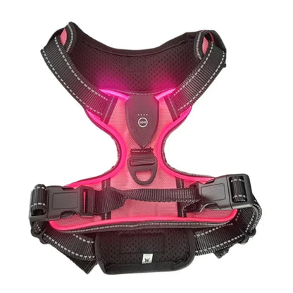 Led luminous Dog Harness No Pull Adjustable Rechargeable Pet Vest Harness Small Medium Large Dogs Outdoor Walking Pet Supplies