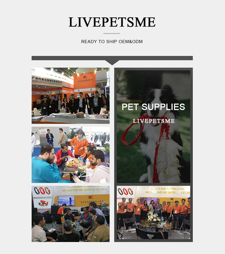 Training Prong Dog Collar Removable Black Pet Link Chain Adjustable Stainless Steel Metal Spike Necklace with Comfort Rubber Tip