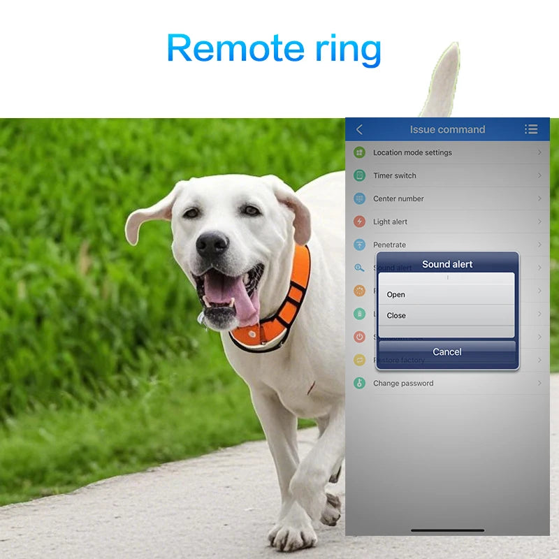 Pet Gps Locator, Hunting Dog Tracker, Dog Training Device, Remote Control, View Via App, Free, Waterproof