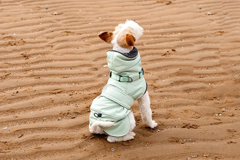 2025 New Pet Keeping Warm Clothes for Autumn Winter High Necked Dog Stormcoat With Reflective Tape Waterproof Dog Down Jacket