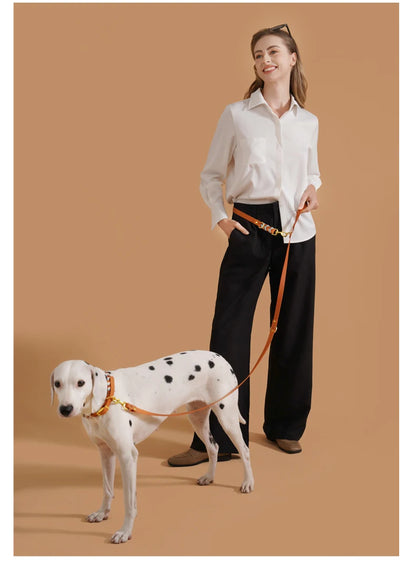 Dog Leashes Solid Durable And Super Tensile Force Dog Rope Colorful Multifunctional Luxury Handmade Leash For Medium Large Dogs