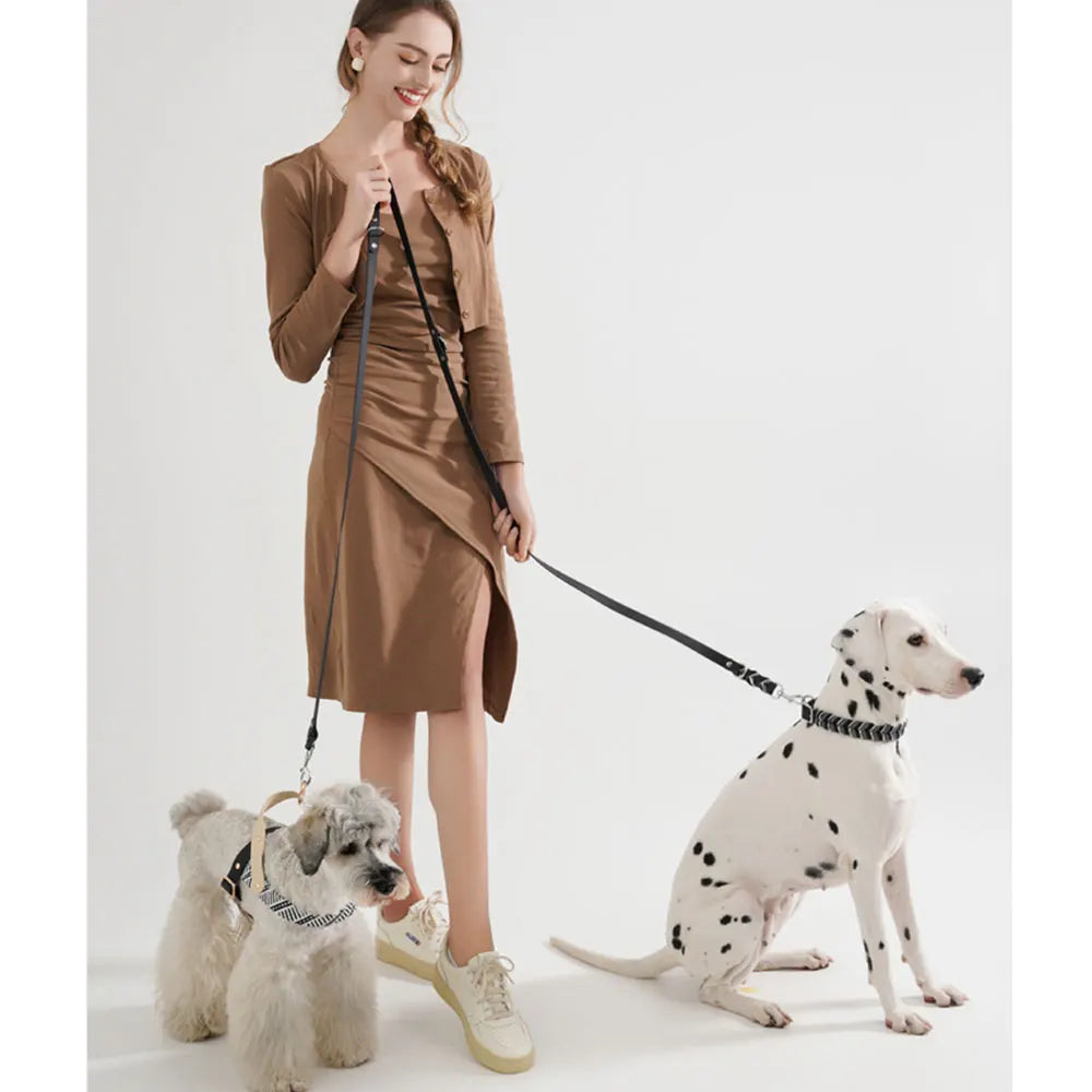 Dog Leashes Solid Durable And Super Tensile Force Dog Rope Colorful Multifunctional Luxury Handmade Leash For Medium Large Dogs