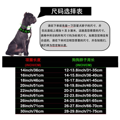 Gold Silver Collar for Large Dog 32mm Stainless Steel Chain Metal Pet Choker Dog Accessories for Cane Corso Labrador Rottweiler