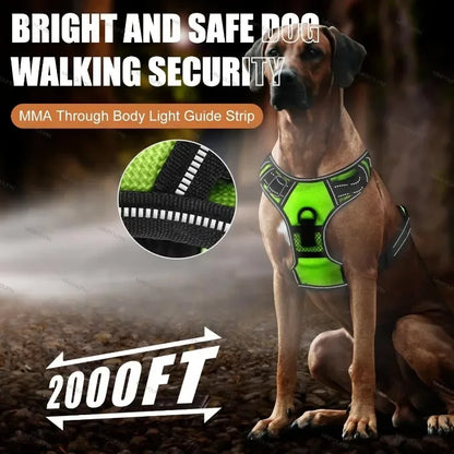Led luminous Dog Harness No Pull Adjustable Rechargeable Pet Vest Harness Small Medium Large Dogs Outdoor Walking Pet Supplies