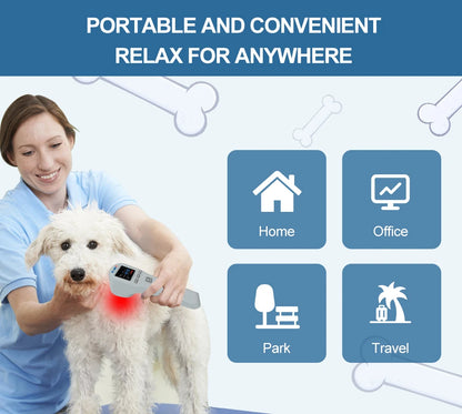 ZJKC Professional Pain Relief Physiotherapy Cold Laser Therapy Device for Pet Dog Cat Wound Injuries 650nm 808nm Home Handheld
