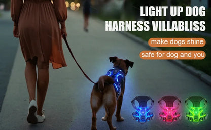 Led luminous Dog Harness No Pull Adjustable Rechargeable Pet Vest Harness Small Medium Large Dogs Outdoor Walking Pet Supplies