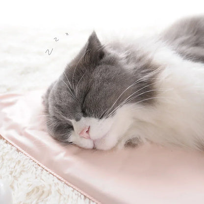 Winter Pet Heating Blanket Waterproof Wearable Wear Resistant Temperature Warm Cat Dog Mattress Indoor Heating Pad Pet Supplies