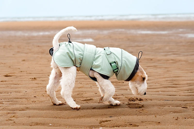 2025 New Pet Keeping Warm Clothes for Autumn Winter High Necked Dog Stormcoat With Reflective Tape Waterproof Dog Down Jacket