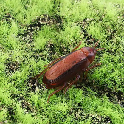 Electric Crawling Cockroach Toys Funny Simulation Fake Roach Prank Toys Trick Joke Toy Novelty Gadgets Scary Spoof Toy