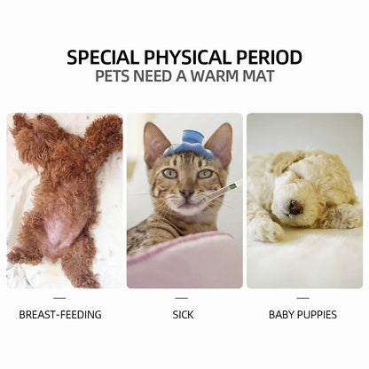 Winter Pet Heating Blanket Waterproof Wearable Wear Resistant Temperature Warm Cat Dog Mattress Indoor Heating Pad Pet Supplies