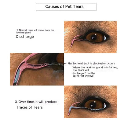 Pet Tear Stain Powder Dog Eye Tear Stain Eye Stain Bichon Pomeranian Garfield Cat Eye Cleaning Products, Cat Accessories