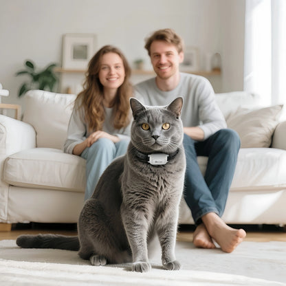 YHLC 800m Cat Anti Meowing Collar, Automatic No Shock Vibration Collar for Cats, Cat Trainer Designed Collar for Stop Meowing