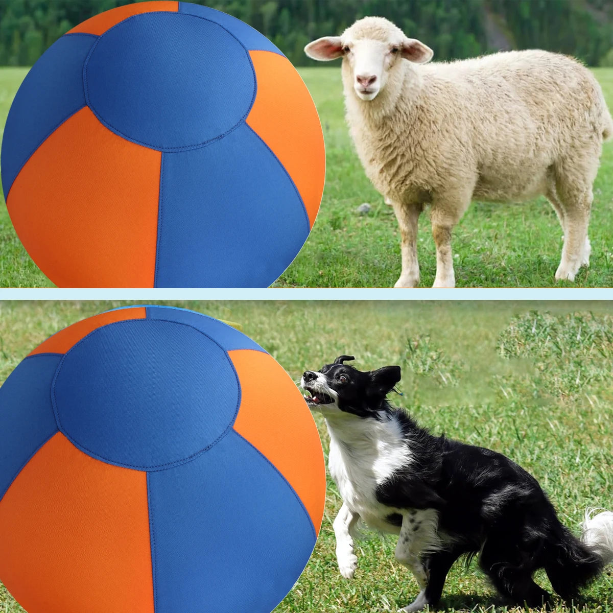 Dog Giant Toy Ball Large Pet Outdoor Training Supplies Children's Interactive Game Toys Interest Play Balls Dog Like Colors Ball