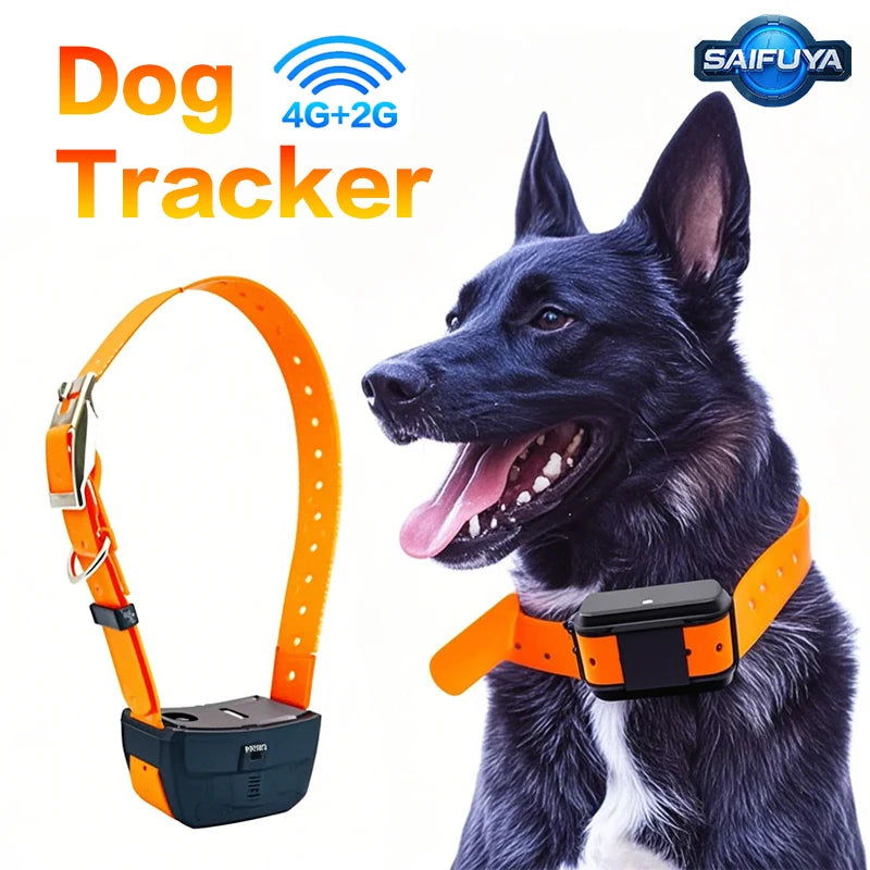 Pet Gps Locator, Hunting Dog Tracker, Dog Training Device, Remote Control, View Via App, Free, Waterproof