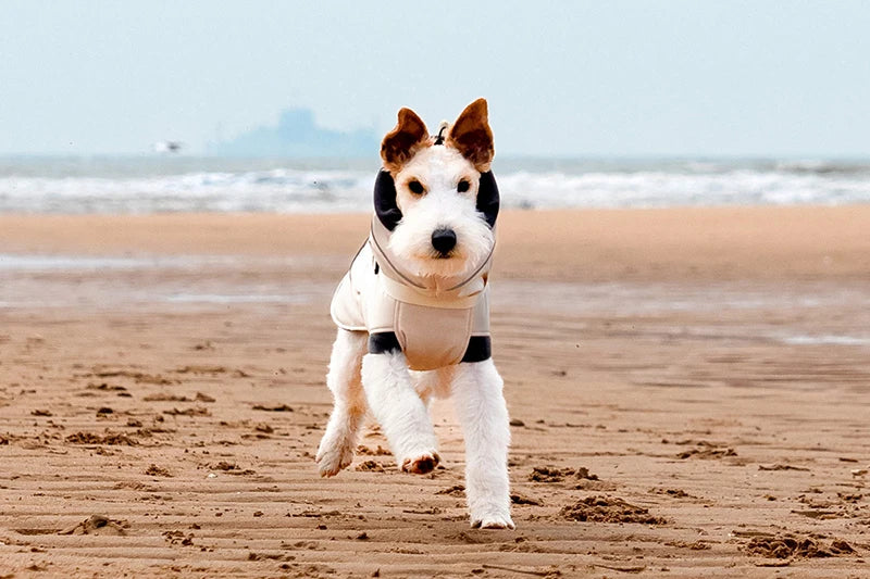 2025 New Pet Keeping Warm Clothes for Autumn Winter High Necked Dog Stormcoat With Reflective Tape Waterproof Dog Down Jacket