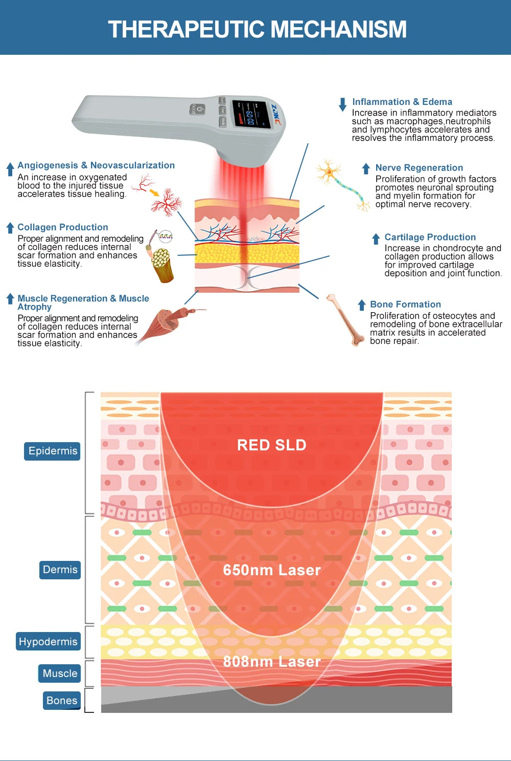 ZJKC Professional Pain Relief Physiotherapy Cold Laser Therapy Device for Pet Dog Cat Wound Injuries 650nm 808nm Home Handheld