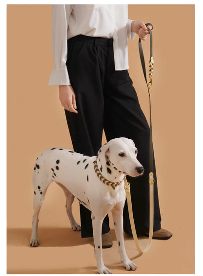 Dog Leashes Solid Durable And Super Tensile Force Dog Rope Colorful Multifunctional Luxury Handmade Leash For Medium Large Dogs