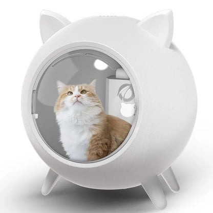 Pet intelligent constant temperature disinfection box, cat and dog, home use, hair blowing, water drying