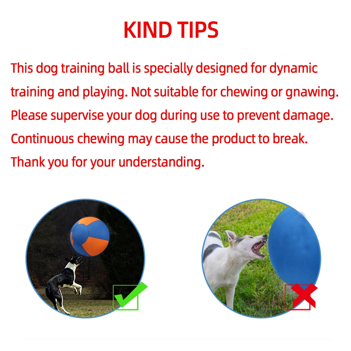Dog Giant Toy Ball Large Pet Outdoor Training Supplies Children's Interactive Game Toys Interest Play Balls Dog Like Colors Ball