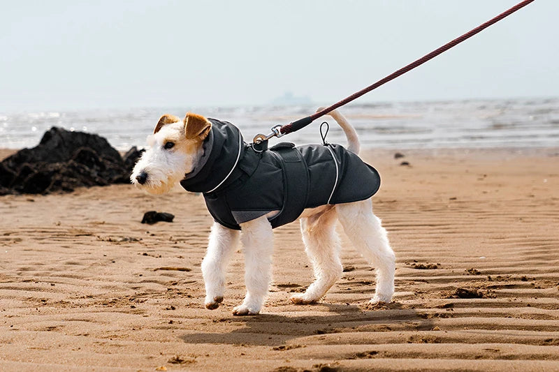 2025 New Pet Keeping Warm Clothes for Autumn Winter High Necked Dog Stormcoat With Reflective Tape Waterproof Dog Down Jacket