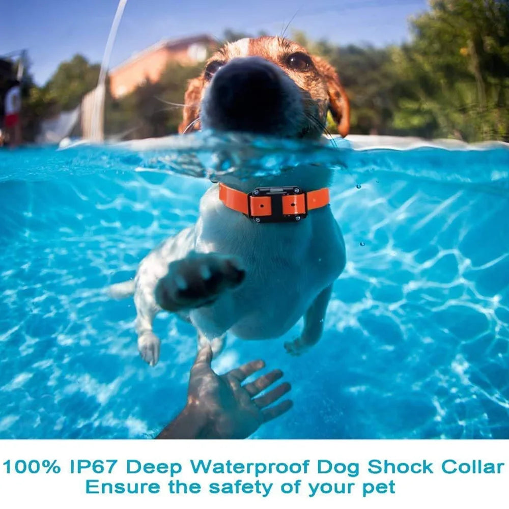 800m Electric Dog Training Collar Detachable Bark Rechargeable Anti Barking Shock Vibration Reflective Collar for All Dogs Pet